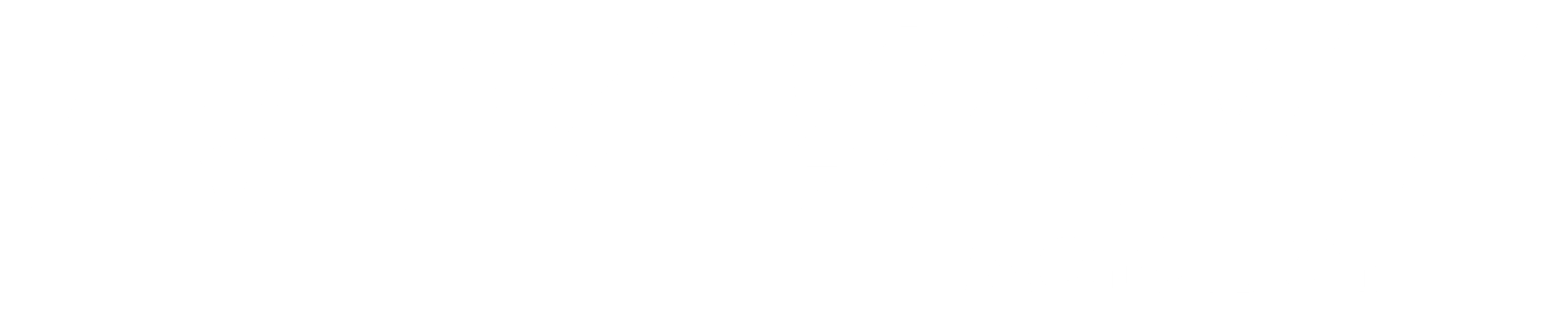 REVVANT