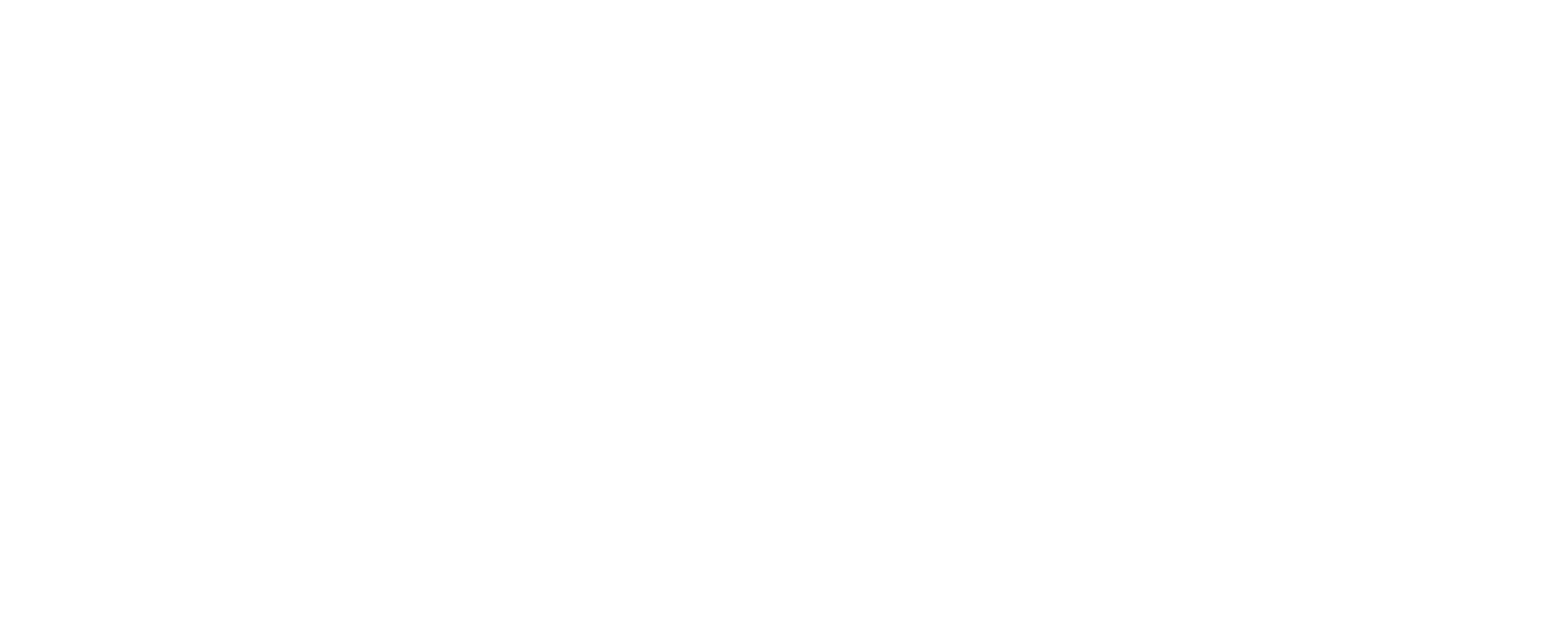 VITACTIVE
